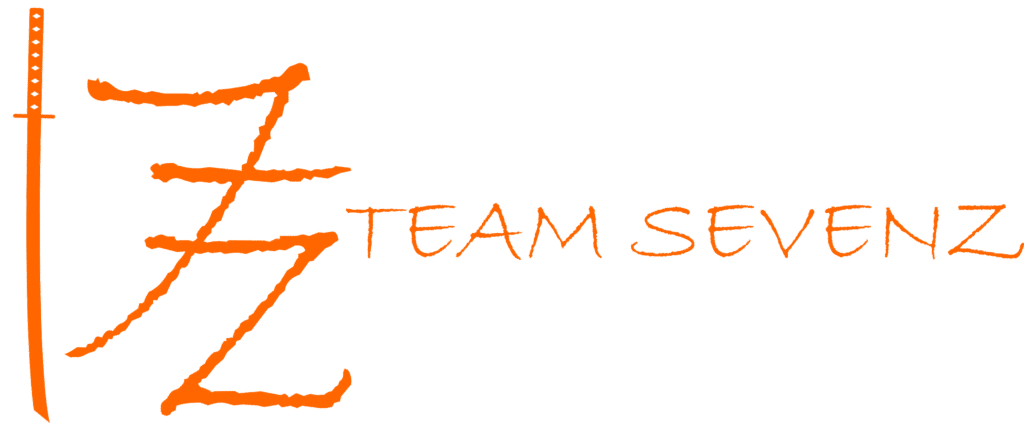 teamsevenz - digital marketing seo agency